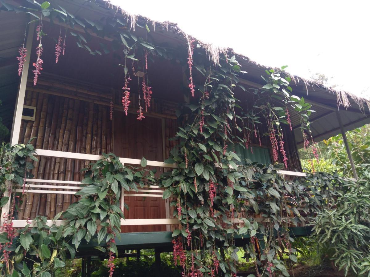 Koomankolly Resort Thirunelly Bagian luar foto