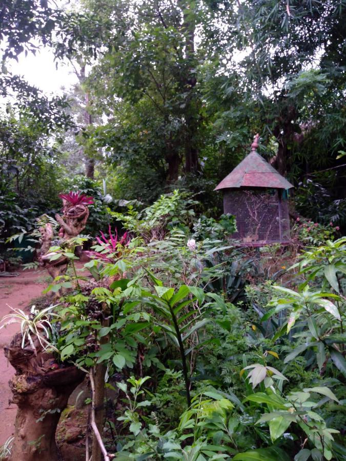 Koomankolly Resort Thirunelly Bagian luar foto