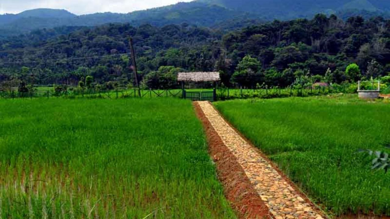 Koomankolly Resort Thirunelly Bagian luar foto